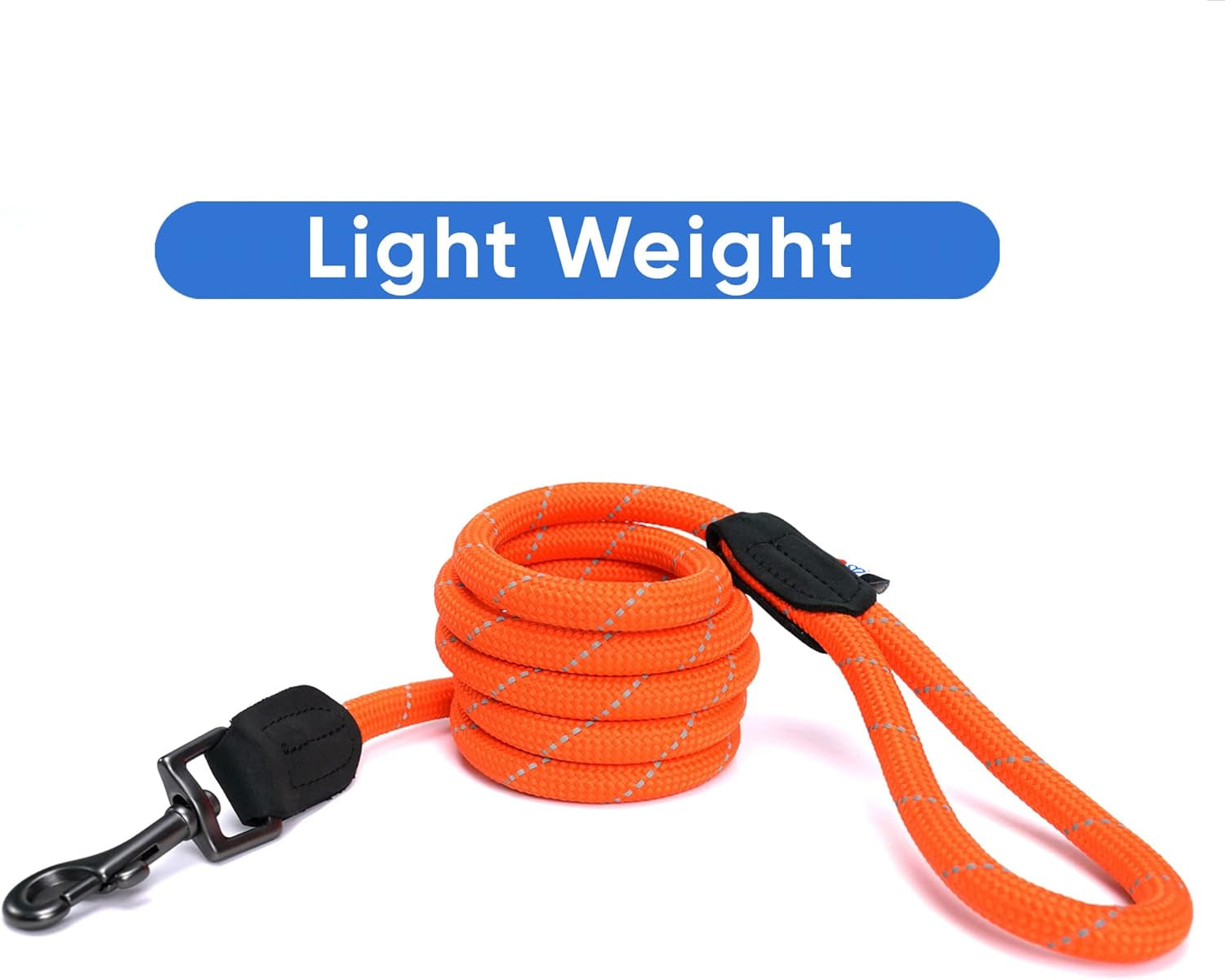 Heavy-Duty Dog Leash